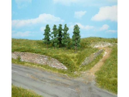 Heki  6 Schwarzpappeln 5,5 cm