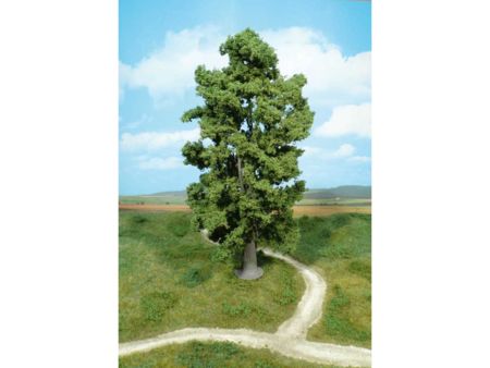 Heki  1 Felsenahorn 30 cm