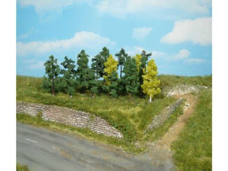 Heki  25 Bäume 4-6 cm