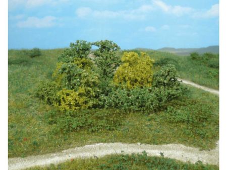 Heki  20 Naturbüsche