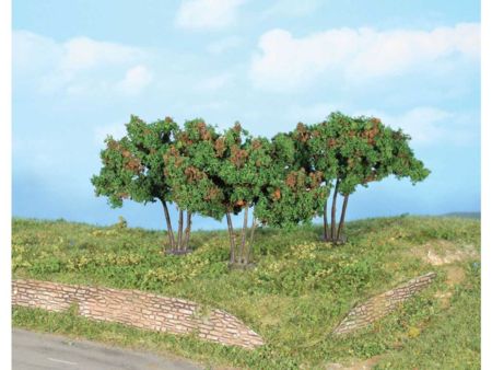 Heki  3 Maulbeerbäume 7 cm