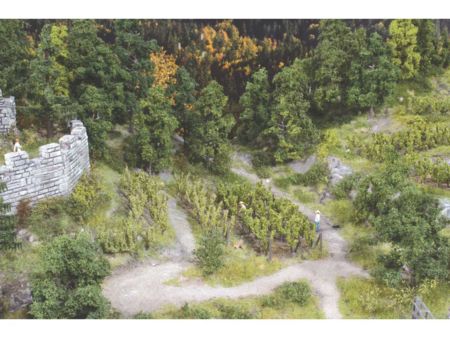 Heki  36 Rebstöcke ca. 2,5 cm incl.Spannpfosten