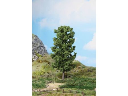 Heki  1 Buche 20 cm