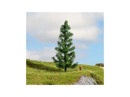 NOCH Fichte, 15cm hoch