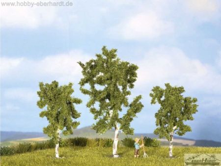 NOCH H0/TT Birken, 3 Stück