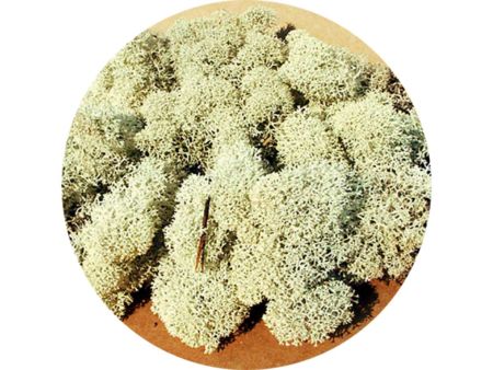 Heki  Islandmoos grau 30 g