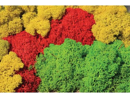 Heki  Islandmoos sortiert 30 g