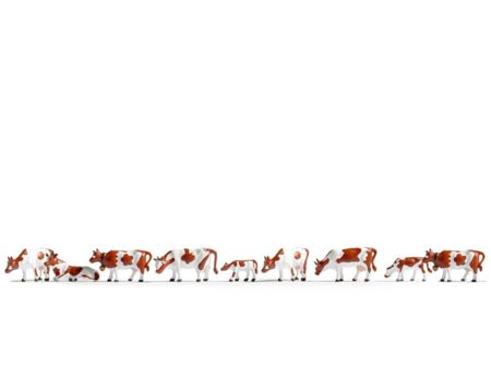 NOCH N Kühe, braun-weiß