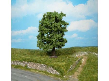 Heki  1 Kastanie 20 cm