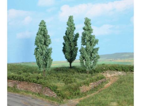 Heki  3 Silberpappeln 13 cm