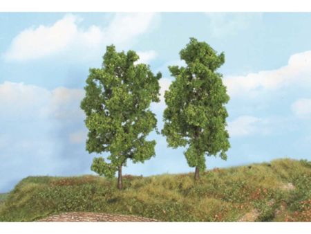 Heki  2  Buchen 18 cm