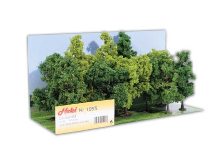 Heki  Laubwald, 12 Bäume 11-13 cm