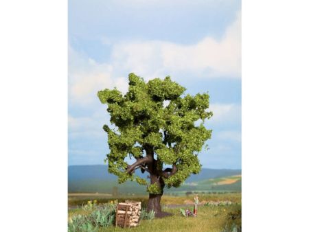 NOCH 0/H0 Eiche 15 cm