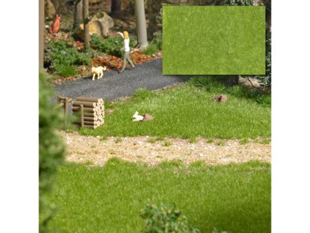 Busch Grasfasern Frühling