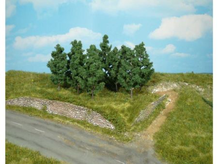 Heki  10 Schwarzpappeln 9 cm