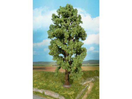 Heki  1 Bergahorn 35 cm