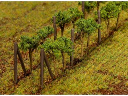 Faller    Weinreben