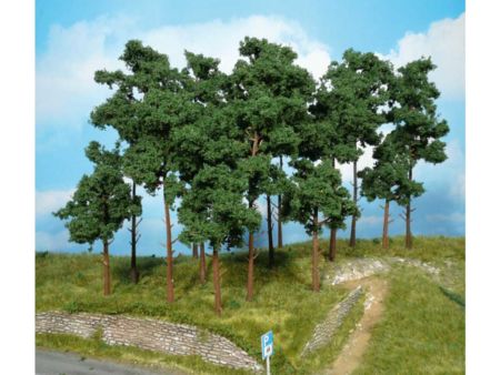 Heki  9 Kiefern 10-16 cm