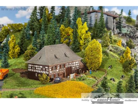Faller  Spur N Bauernhaus Kürnbach