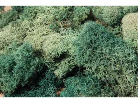 Heki  Islandmoos grau-grün 30 g