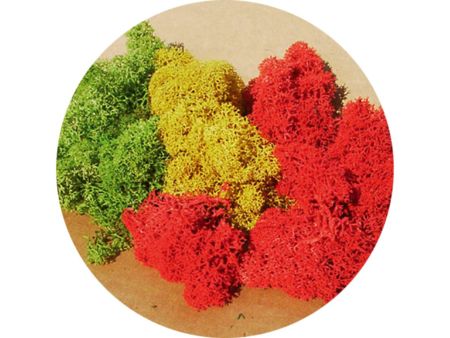 Heki  Islandmoos sortiert 250 g