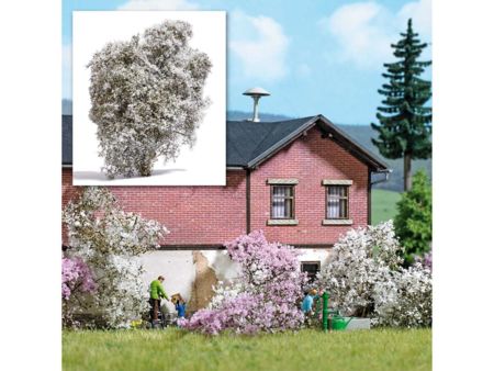 Busch Filigranbusch, weiß blühend