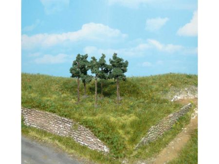 Heki  6 Kiefern 6 cm