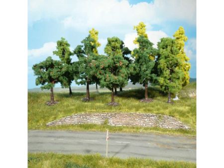 Heki  50 Bäume 8-13 cm