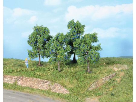 Heki  4 Zwetschgenbäume 6 + 9 cm