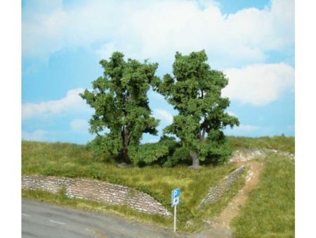 Heki  2 Ebereschen 13 cm