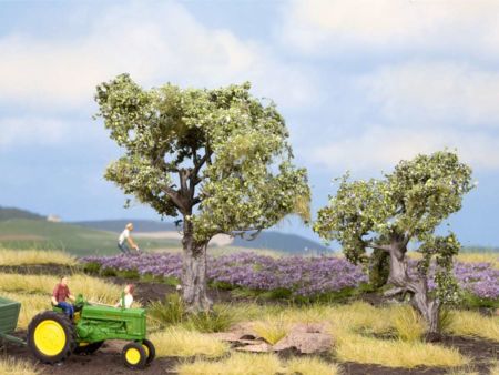 NOCH H0/TT Olivenbäume 2 St. 6+9cm