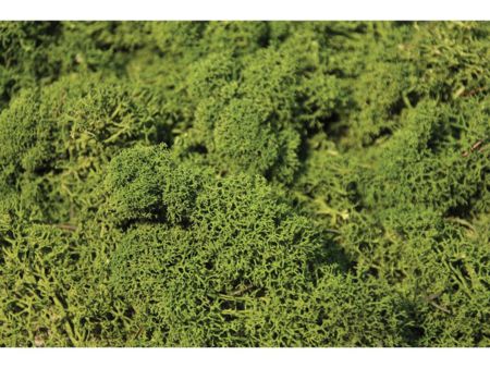 Heki  Islandmoos mittelgrün 250 g