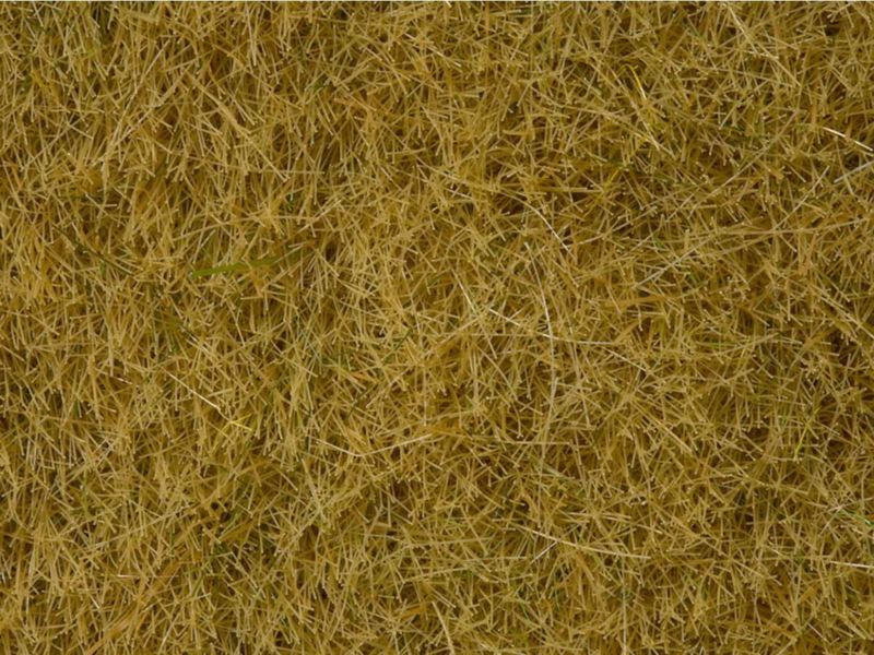 NOCH Wildgras, beige, 6 mm