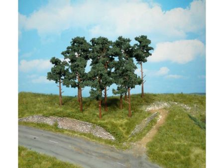 Heki  2 Kiefern 16 cm