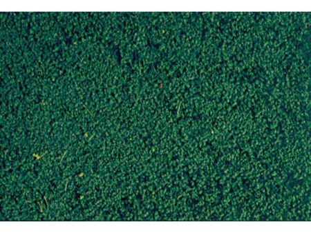 Heki  mikrolaub Belaubungsflocken kieferngrün15 g