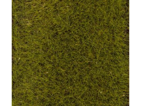 Faller PREMIUM Streufasern Frühsommerwiese, 6 mm, 30 g