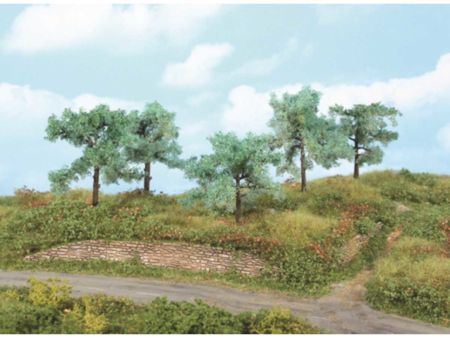 Heki  5 Olivenbäume 8-10 cm