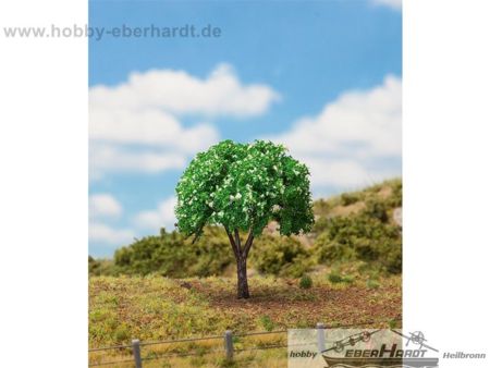Faller    1 Kirschbaum blühend