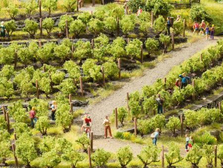 NOCH H0/TT Weinreben, ca. 2,2 cm