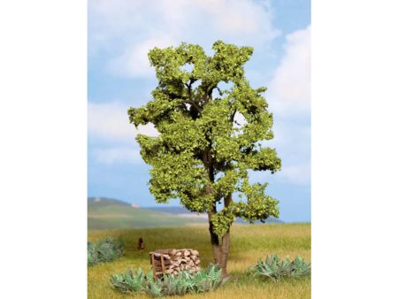 NOCH 0/N Mehrst. Akazie 15cm