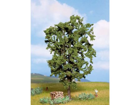 NOCH 0/N Kastanie 19 cm