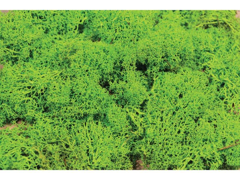 Heki  Islandmoos hellgrün 75 g