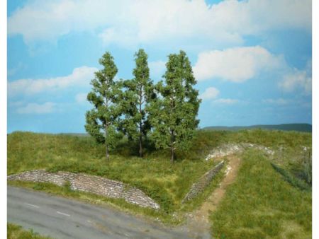 Heki  4 Pappeln z. Stecken 13 cm