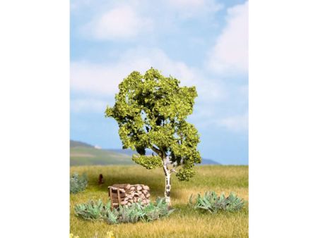 NOCH Birke, 11,5 cm hoch