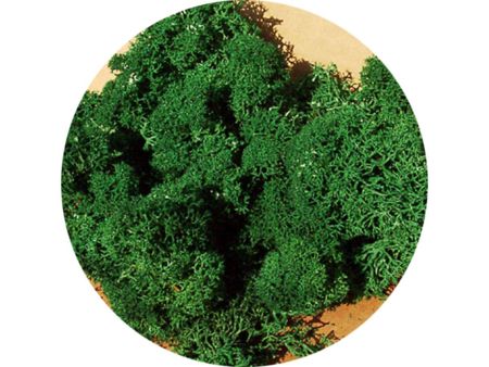 Heki  Islandmoos dunkelgrün 75 g