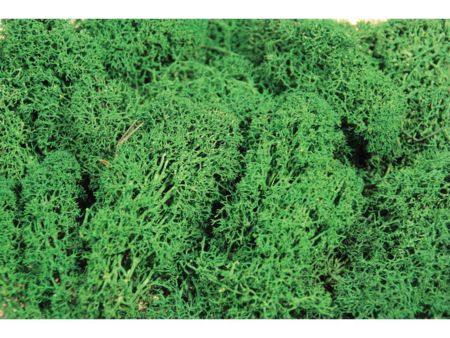 Heki  Islandmoos dunkelgrün 250 g