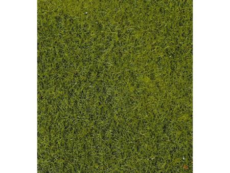 Heki  Grasfaser hellgrün, 50 g, 2-3 mm