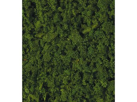 Heki  Belaubungsflocken dunkelgrün, grob 8 g