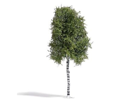 Busch HO Birke 170 mm, Sommer