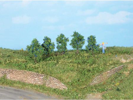 Heki  5 Zwetschgenbäume 4 cm